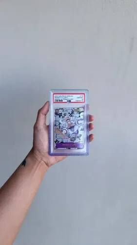 Koleksi kartu RAYCOLLECTIBLES